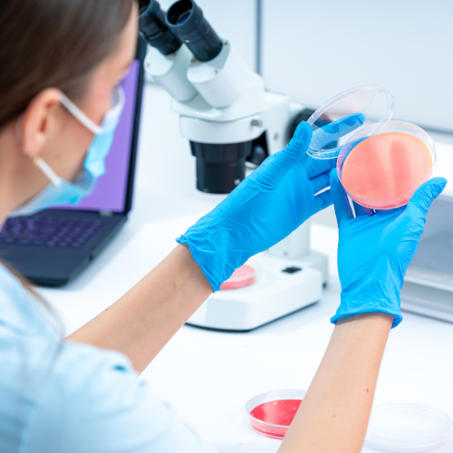 Vigilancia Epidemiológica